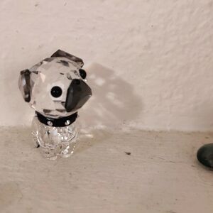 Swaroski, Roxy the pug